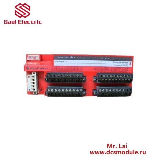 1791-DSIB12 Input Module