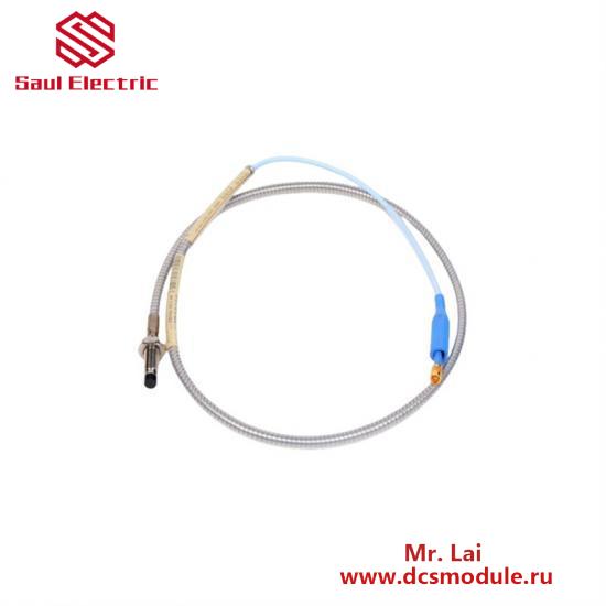   CAI04