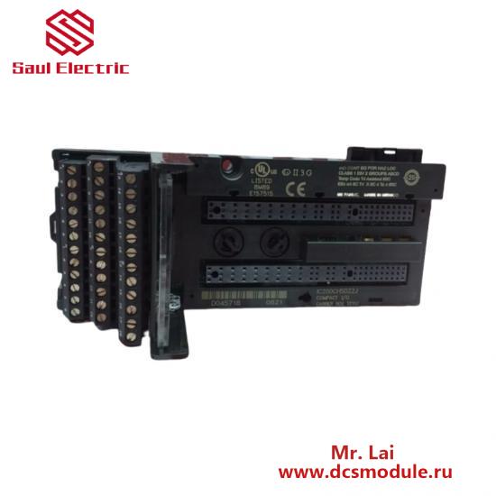 GE FANUC IC200CHS022 Controllers