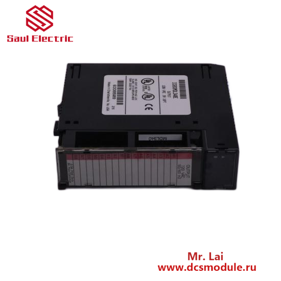 GE IC694PWR321  Power Supply