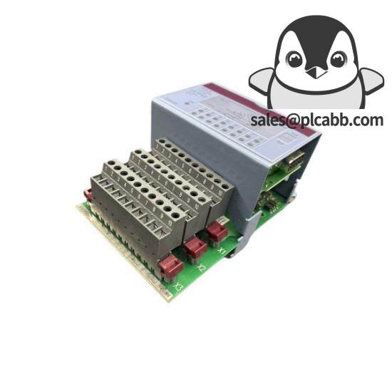 B&R 2DS100.60-1