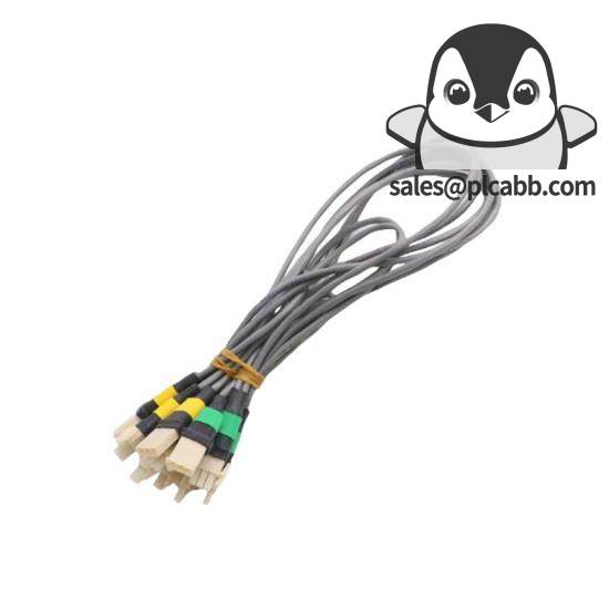 SHINBORY DENSHI HD-522