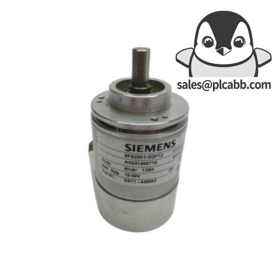 SIEMENS SMP-E217