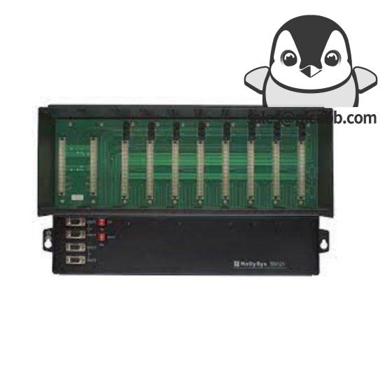 SIS BI01