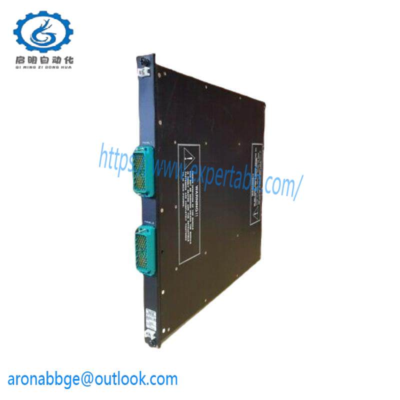 Invensys Triconex 2658 Tricon II Terminator Interface 7400096-200 