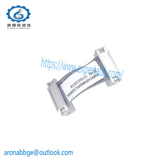ABB BRC300