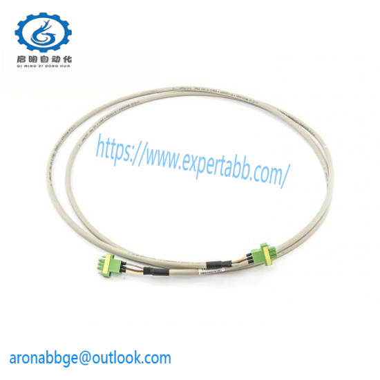 ABB TK821V020 3BSC950202R1