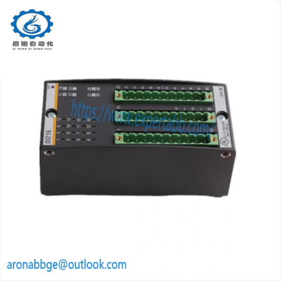 Bachmann DI216 Digital Input Module