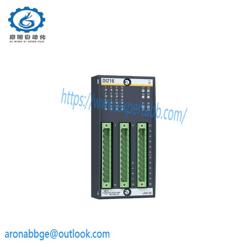 Bachmann DI216 DIGITAL INPUT MODULES