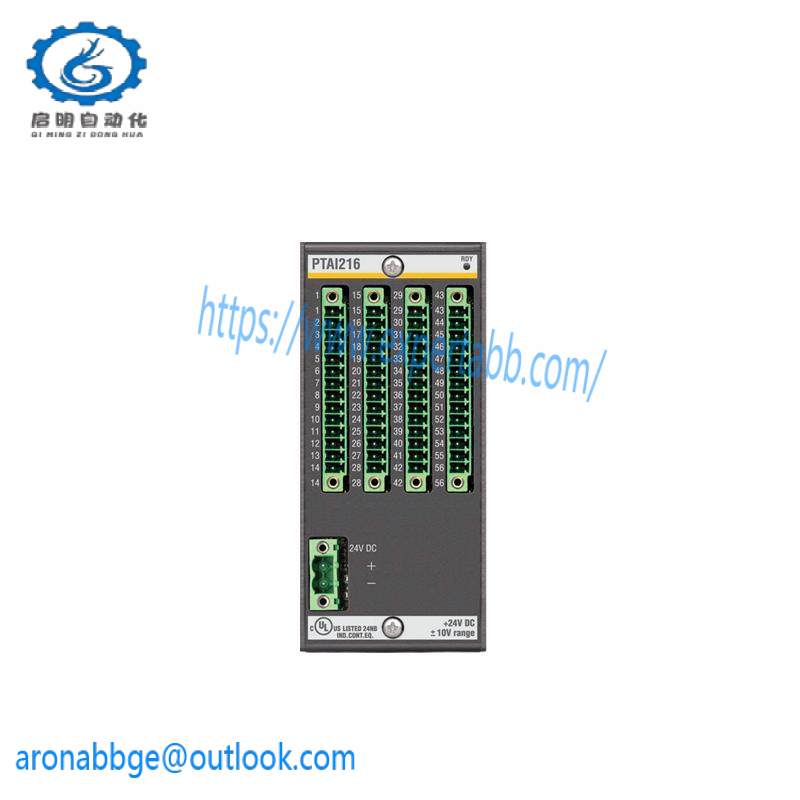 Bachmann PTAI216 TEMPERATURE RECORDING MODULE