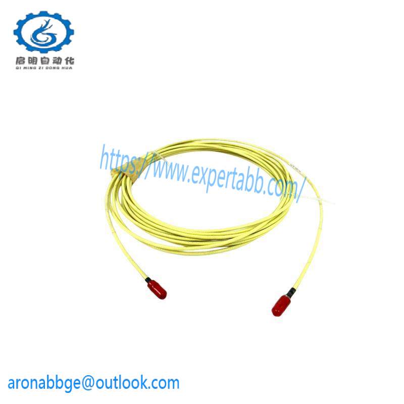 Bently Nevada 21747-080-00 Extension Cable