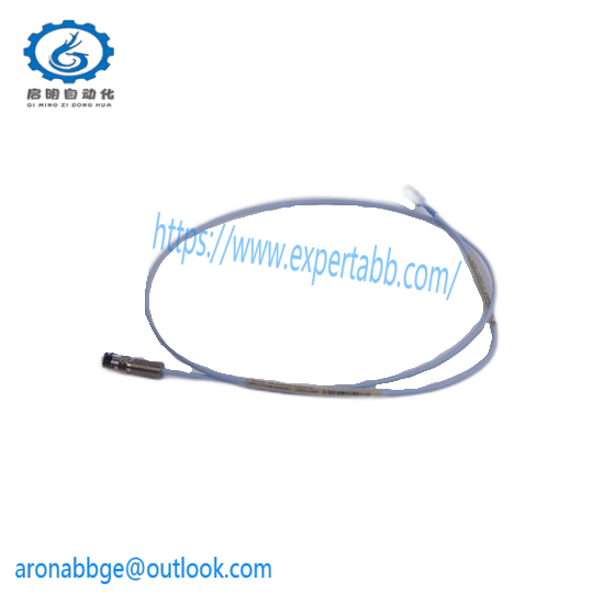 Bently Nevada 300103-A00-B09-C10-D02-E0