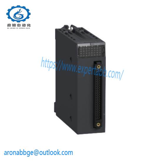 Discrete Input Module BMXDD032O2K  Schneider Electric