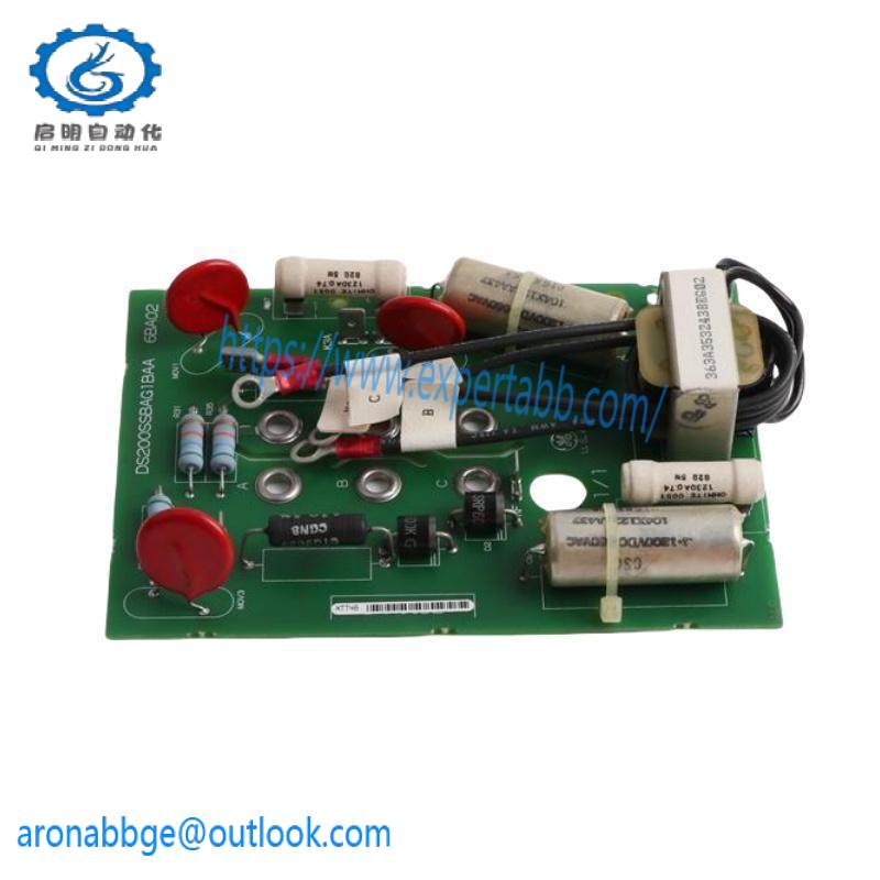 GE DS200SSBAG1