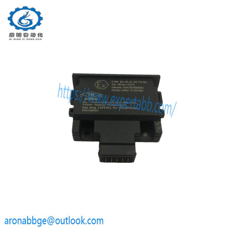 Emerson 12P4983X302 Charm Address Plug