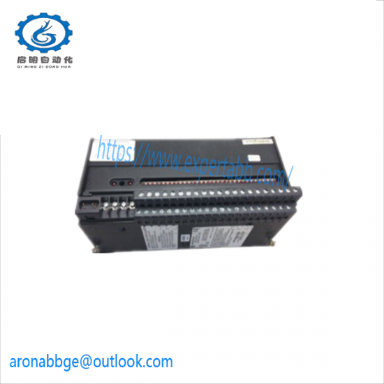 GE FANUC IC660TBD024M memory module