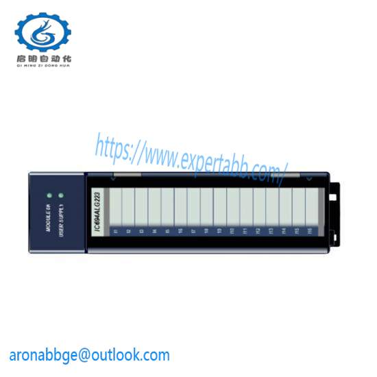 GE FANUC IC694ALG223