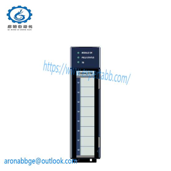 GE Fanuc IC695ALG704  PAC System