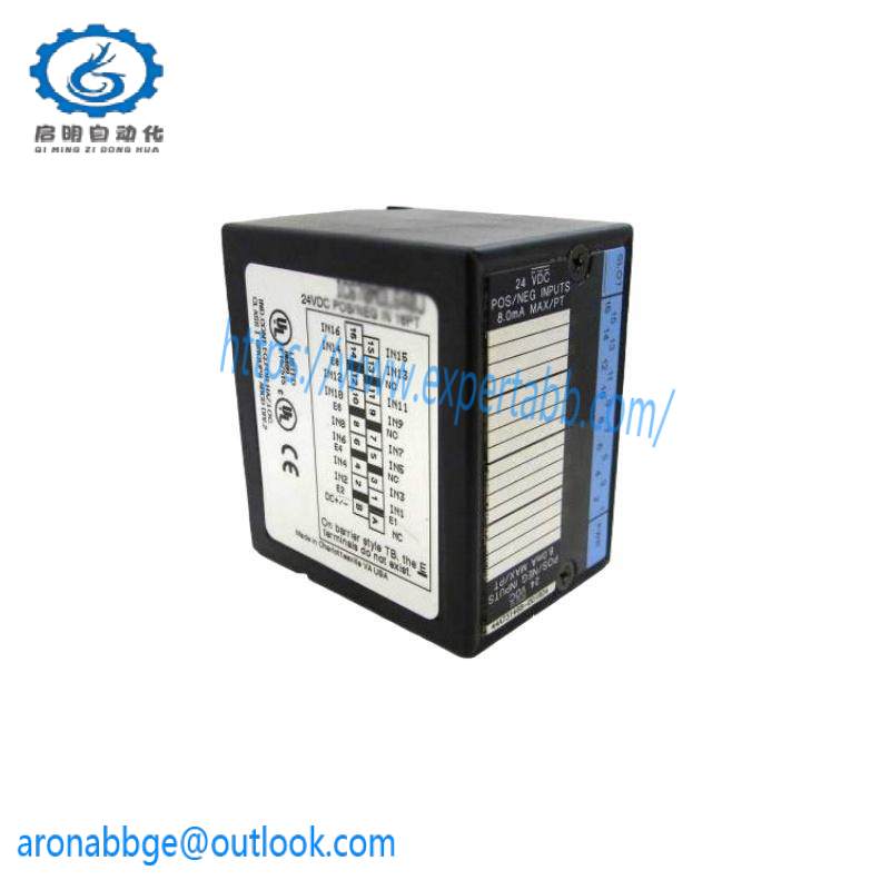 GE IC670ALG310