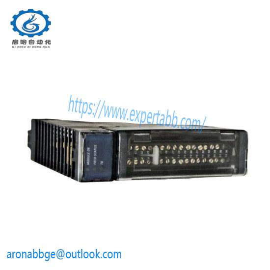 GENERAL ELECTRIC IC695ALG608