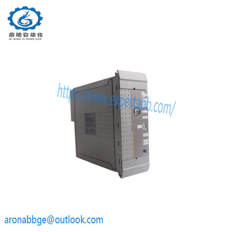 ICS TRIPLEX T3419 Digital Input