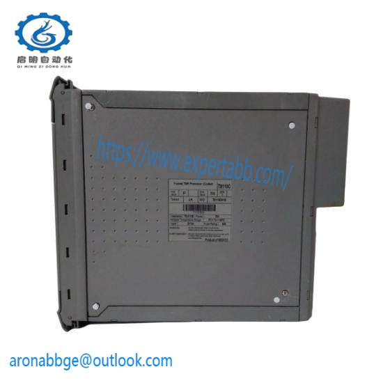 ICS TRIPLEX T8110C
