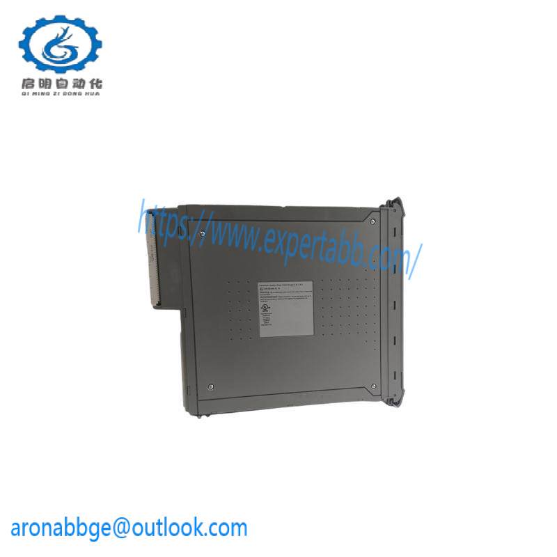 ICS TRIPLEX T8191