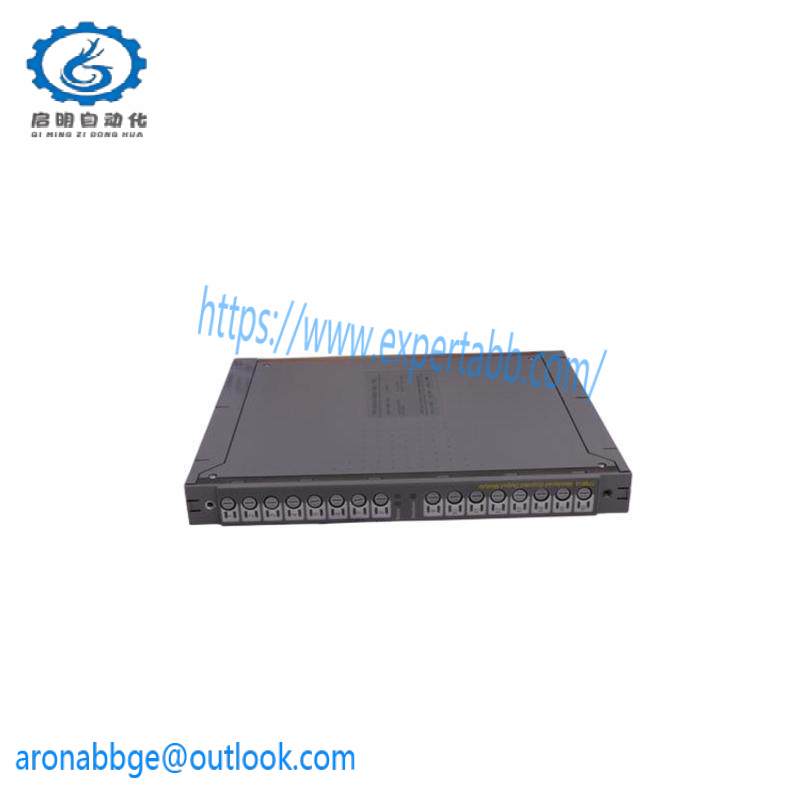 ICS TRIPLEX T8310