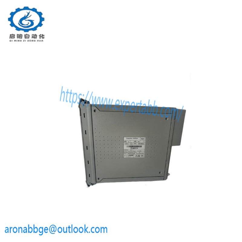 ICS TRIPLEX T8431C Analog Input-40 Ch With Paintcoat