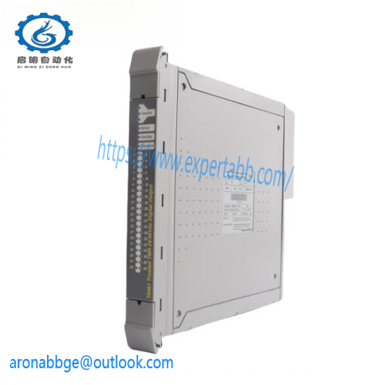 ICS TRIPLEX T8461C