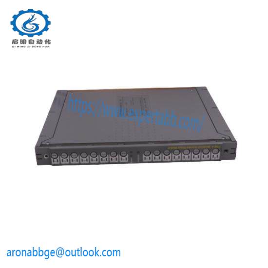 ICS TRIPLEX TC-301-02-2M0