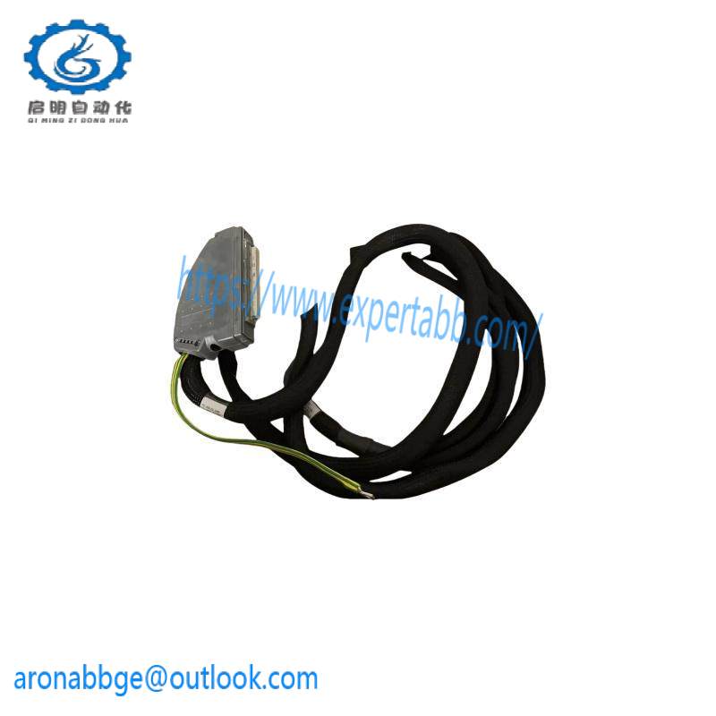 ICS TRIPLEX TC-801-02-4M5