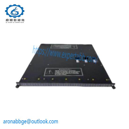 Invensys Triconex 3482  Analog Output