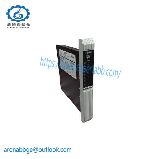 Moore 39SDM024DCCBN 16101-174R/12 SDM+Standard Discrete Module