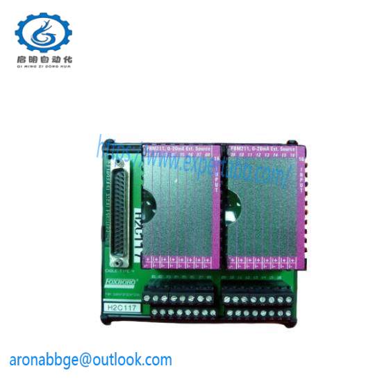 P0916BT  I/A Series Module  Foxboro