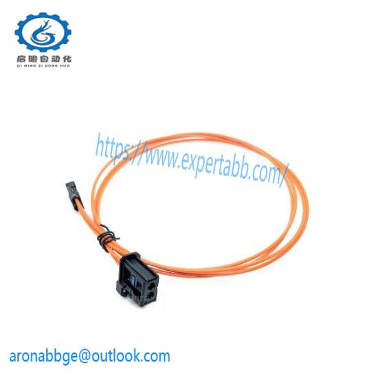 P0972KV  I/A Series Module  Foxboro