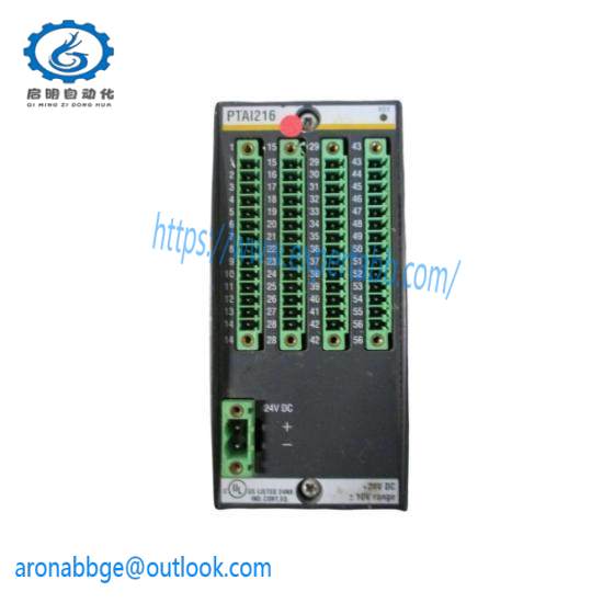 PAAI216  Analog Modules  Bachmann