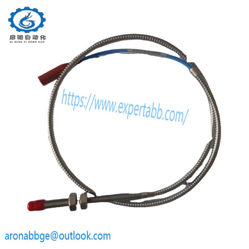ProvibTech TM0180-A08-B00-C12-D10 Vibration probe/sensor