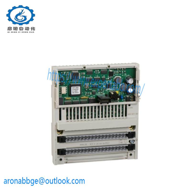 Schneider 170AAO92100 Analog Output