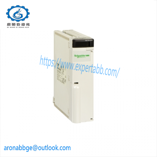 SCHNEIDER AS-BDAP-218
