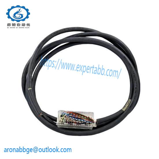 Schneider BMXFTW308S Analog Input Module BMX AMI 08*0 Connection Cable