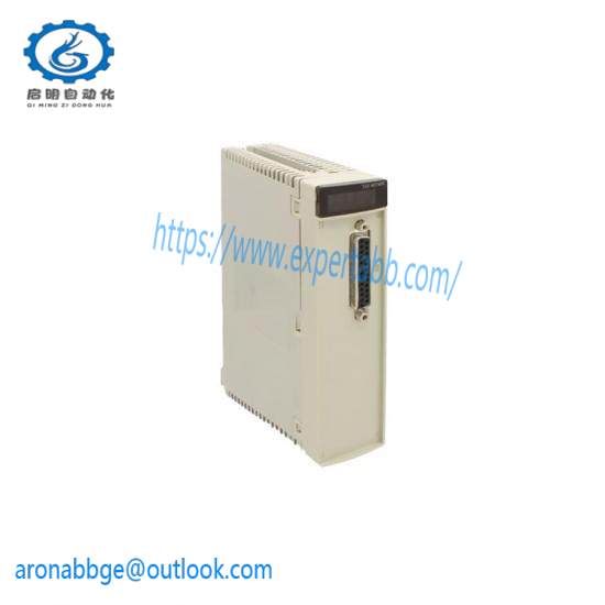 Schneider Electric TSXAEY420 Analog input module