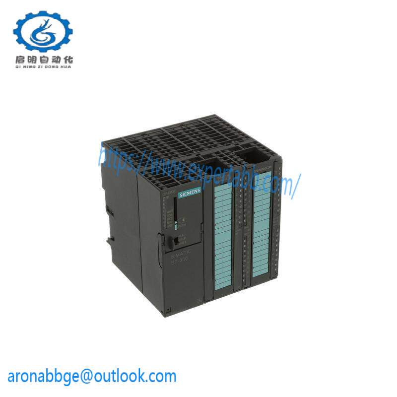 SIEMENS 6ES7313-5BG04-0AB0 DIGITAL OUTPUTS