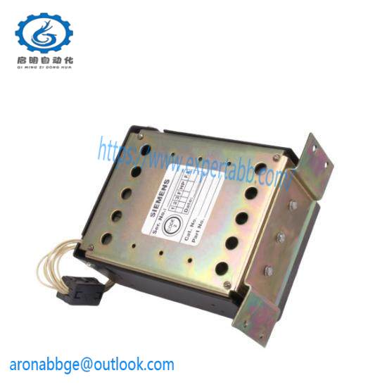 SIEMENS RMS-TSIG-TZ