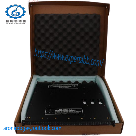 TRICON 9562-810