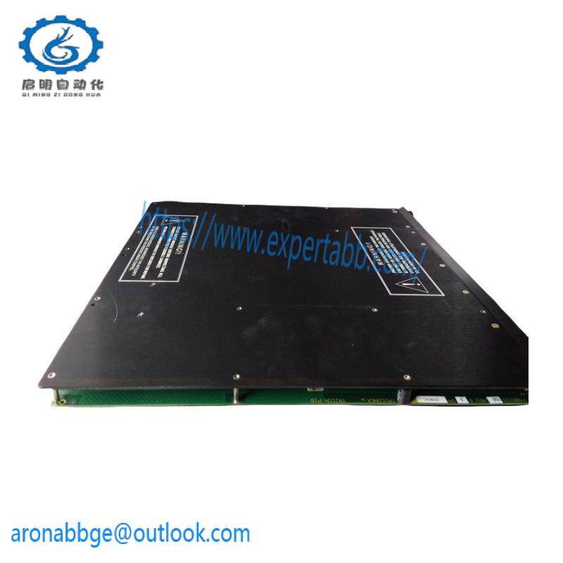 TRICONEX 2071H 7400313-100