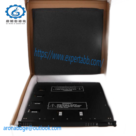 TRICONEX 4119A