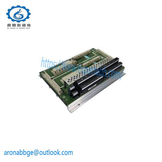 TRICONEX 7400206-100