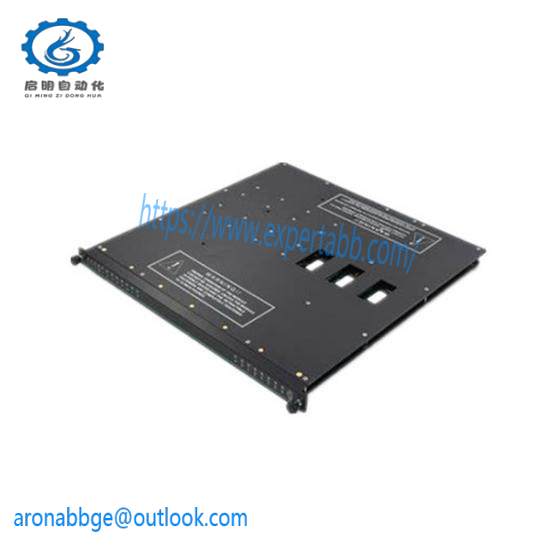 TRICONEX AO2481