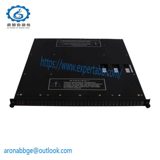 TRICONEX D06603